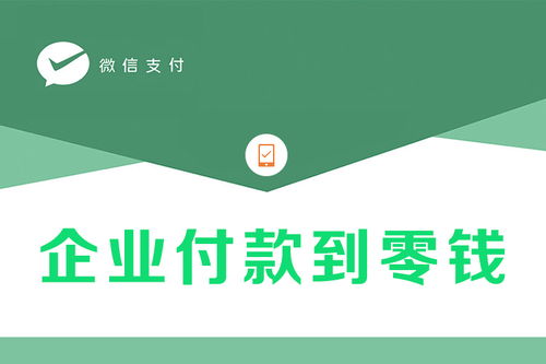 企业付款到零钱开通详解与信息咨询服务